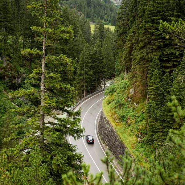 Car driving on a winding mountain road through a pine forest